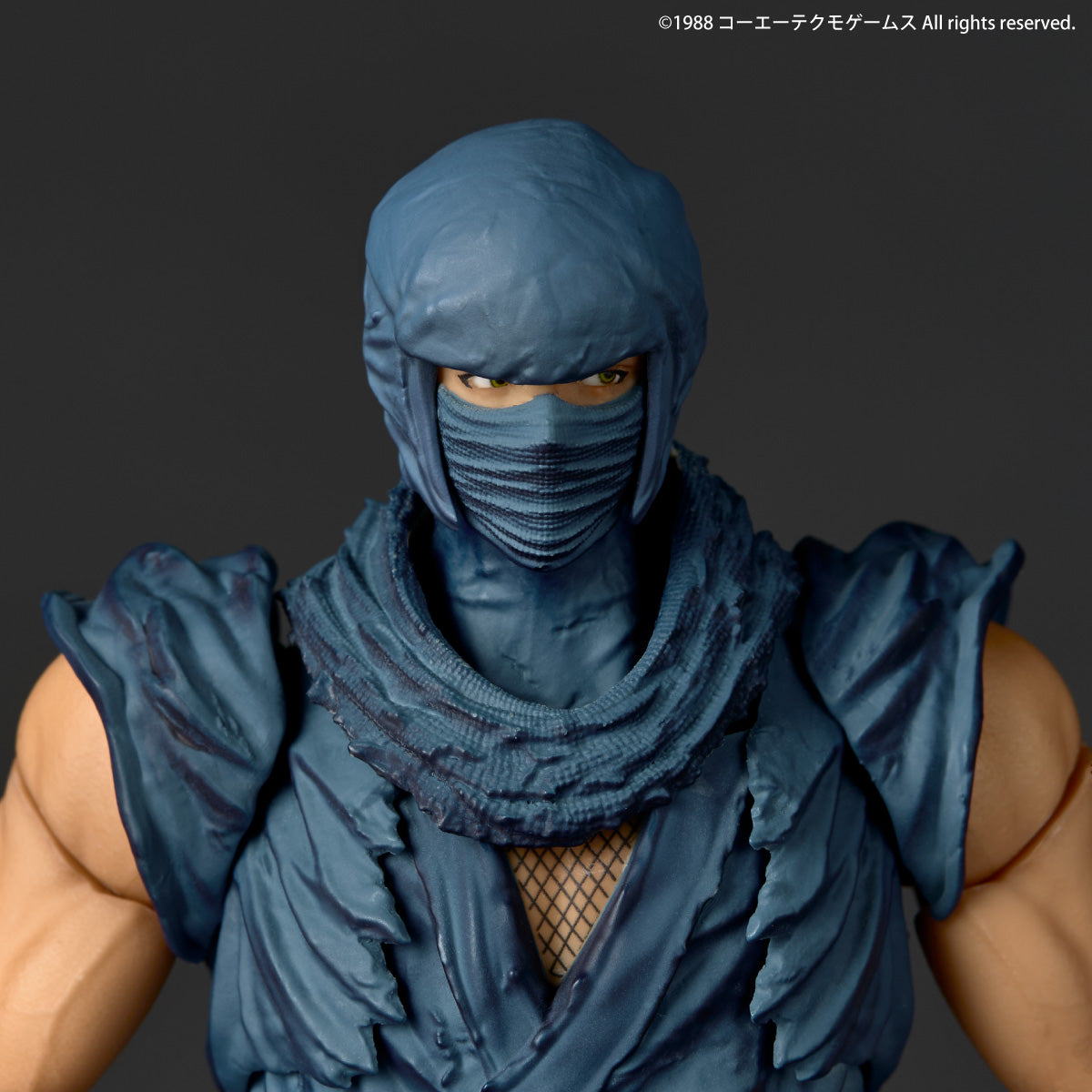 Kaiyodo Amazing Yamaguchi Ryu Hayabusa Ninja Gaiden Action-Figur