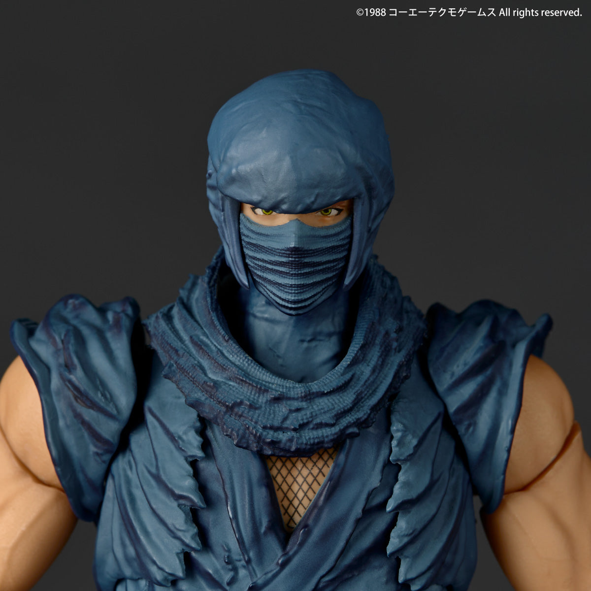 Kaiyodo Amazing Yamaguchi Ryu Hayabusa Ninja Gaiden Action-Figur