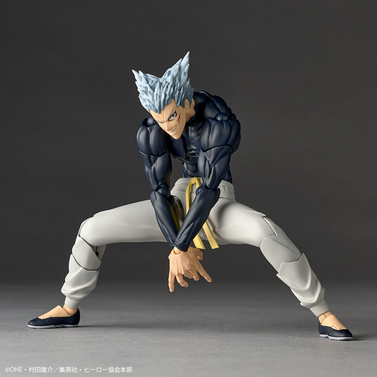 Garou Revoltech Amazing Yamaguchi  Kaiyodo  One Punch Man Preorder Bonus