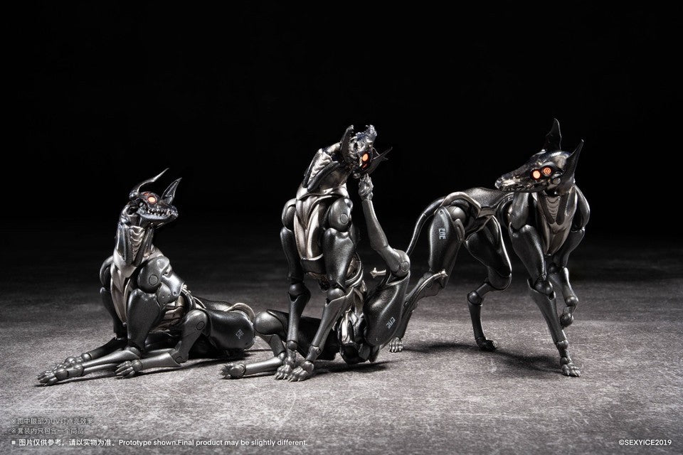 Image #17