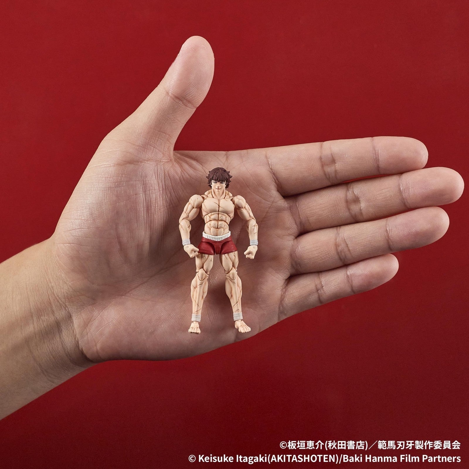 Image #8