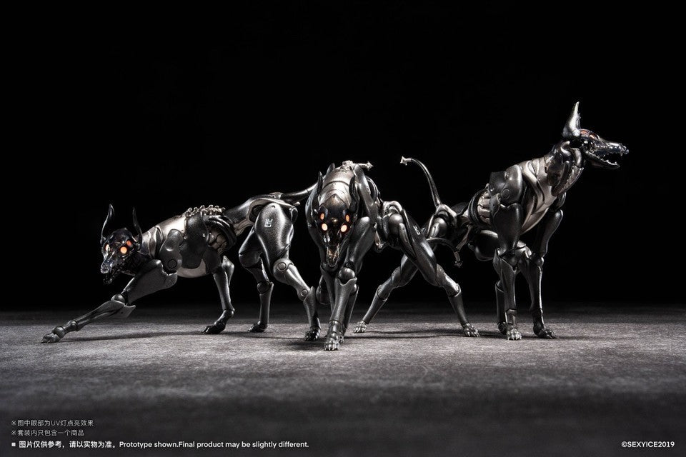 Image #16