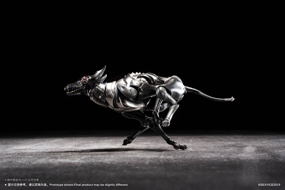 Image #11