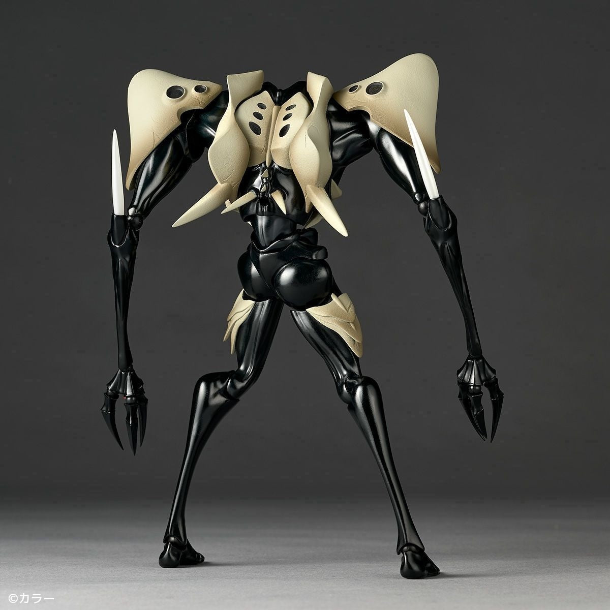 Image #7
