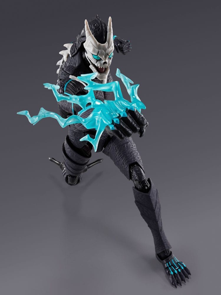 Image #5