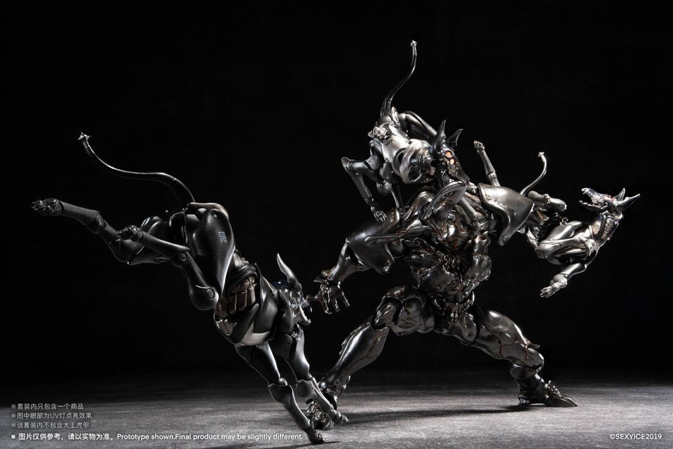 Image #19