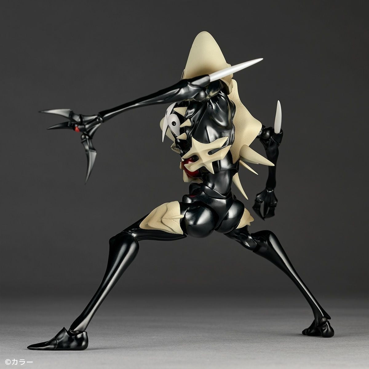 Image #6