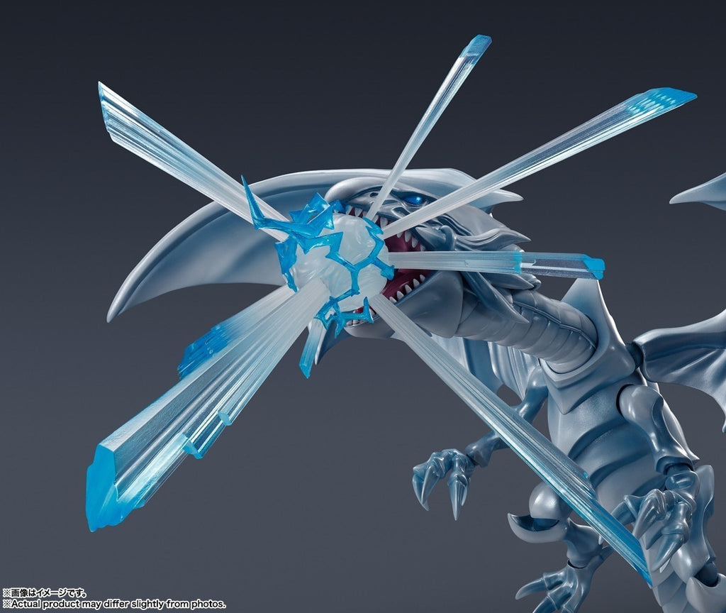 Image #8