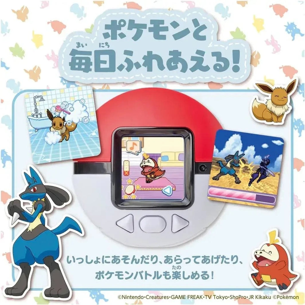 Image #4