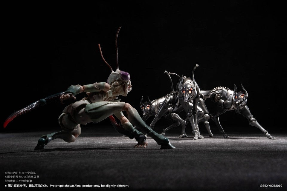 Image #20