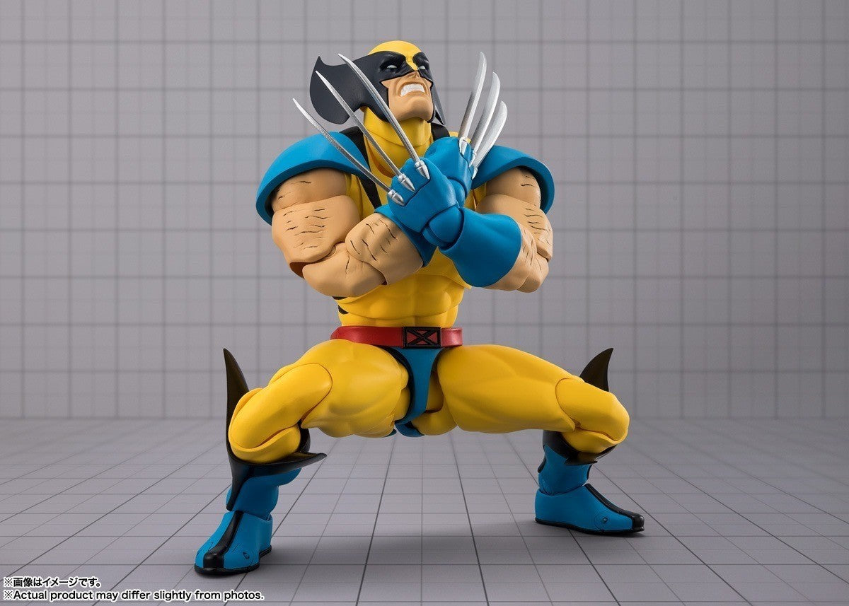 Image #2