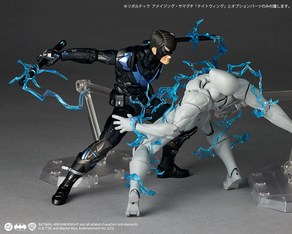 Nightwing Revoltech Amazing Yamaguchi  Kaiyodo   Pre-oreder Bonus