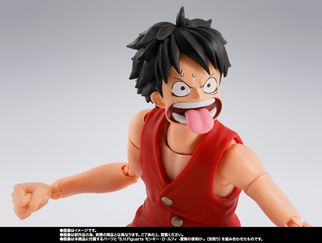 S.H.Figuarts Dracule Mihawk -Hawk-Eye- Tamashii Nation