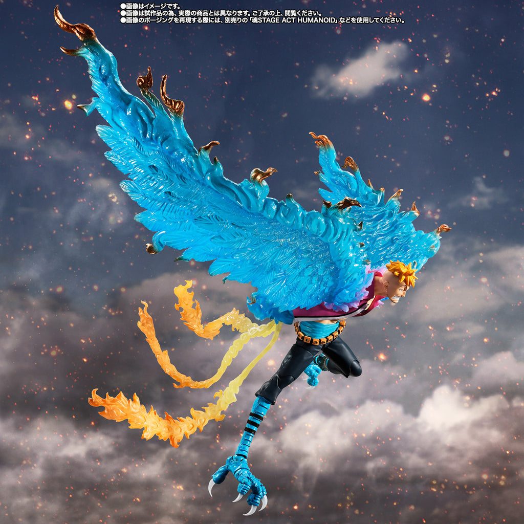 S.H.Figuarts Marco -Marineford Summit Battle- / One Piece