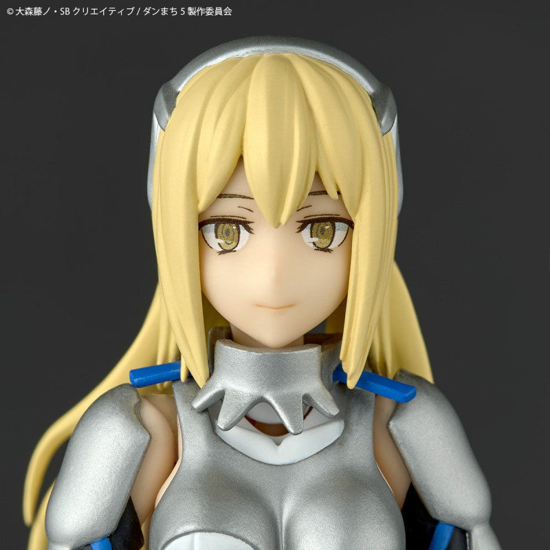 Revoltech Ais Wallenstein "Is It Wrong to Try to Pick Up Girls in a Dungeon?" Action Figure Limited Bonus Set